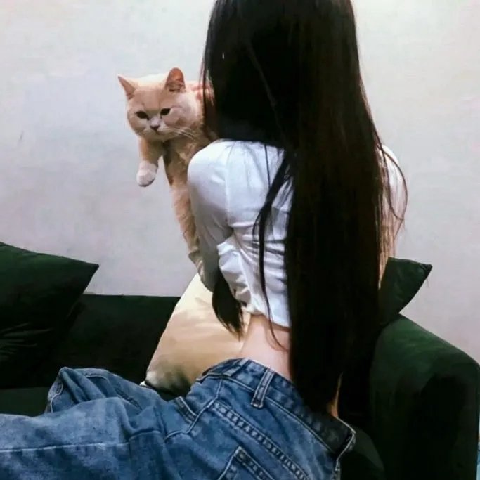 奇妙的来来去去